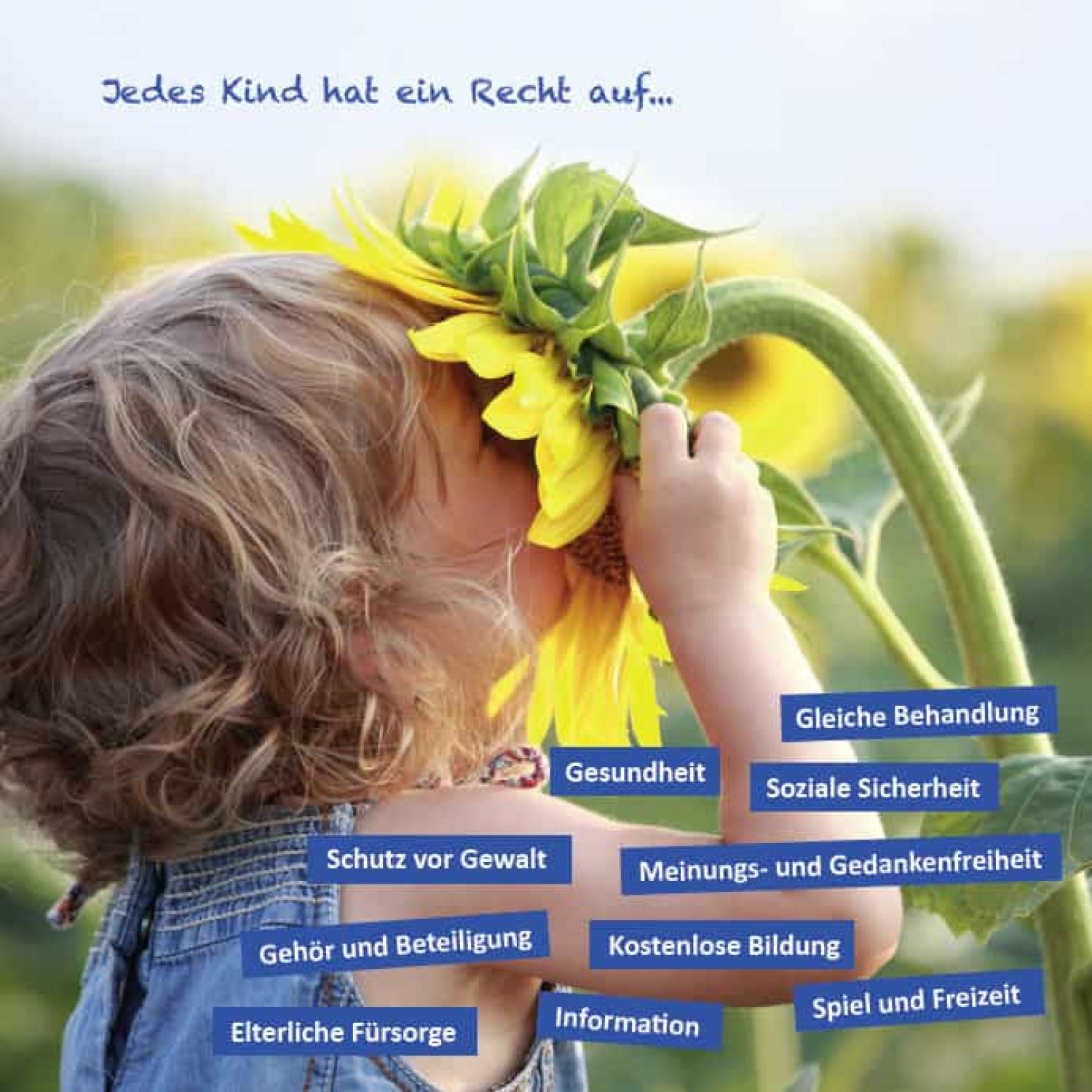 DKSB